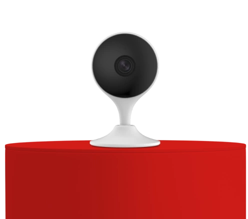 Зачем нужно видеонаблюдение для частного дома?